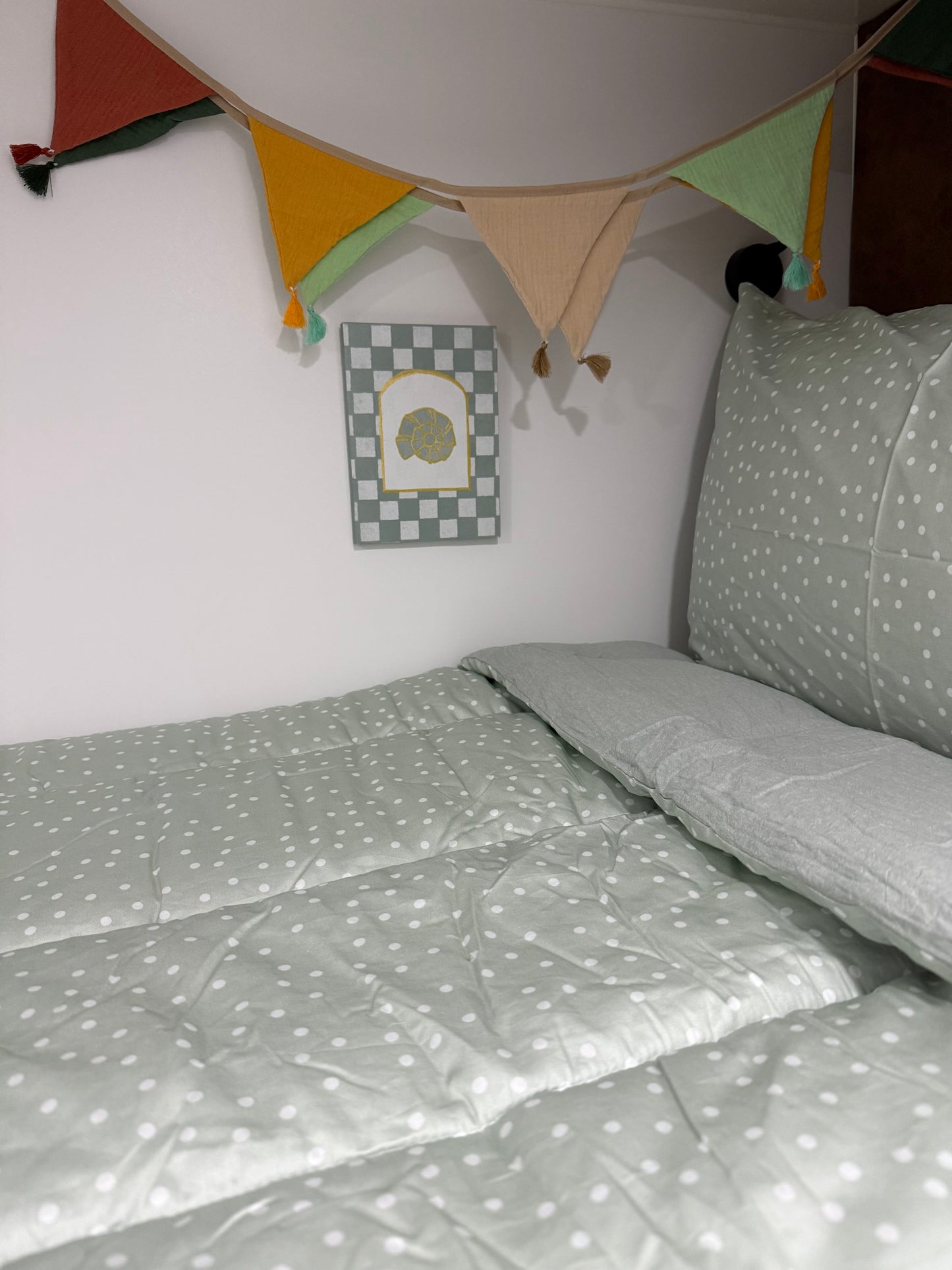 Darcy - Bunk