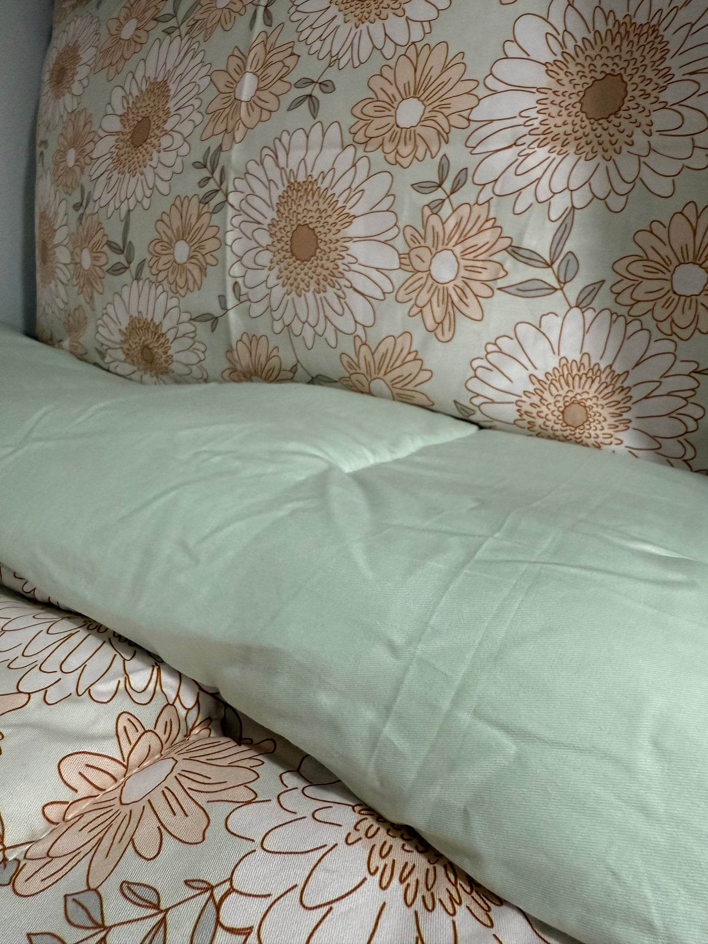 Peyton - Bunk