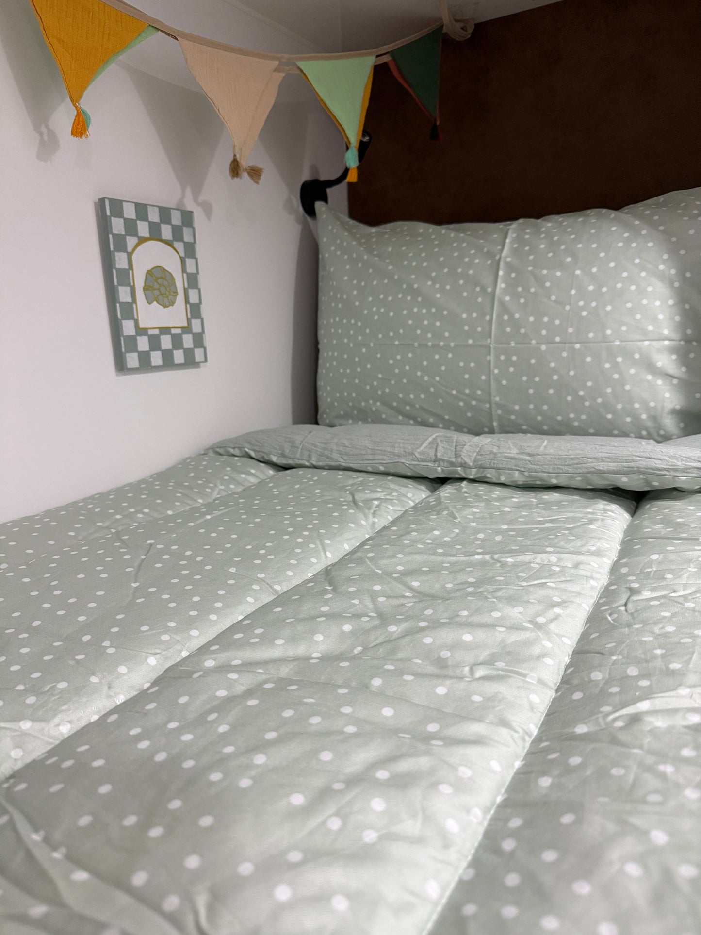 Darcy - Bunk