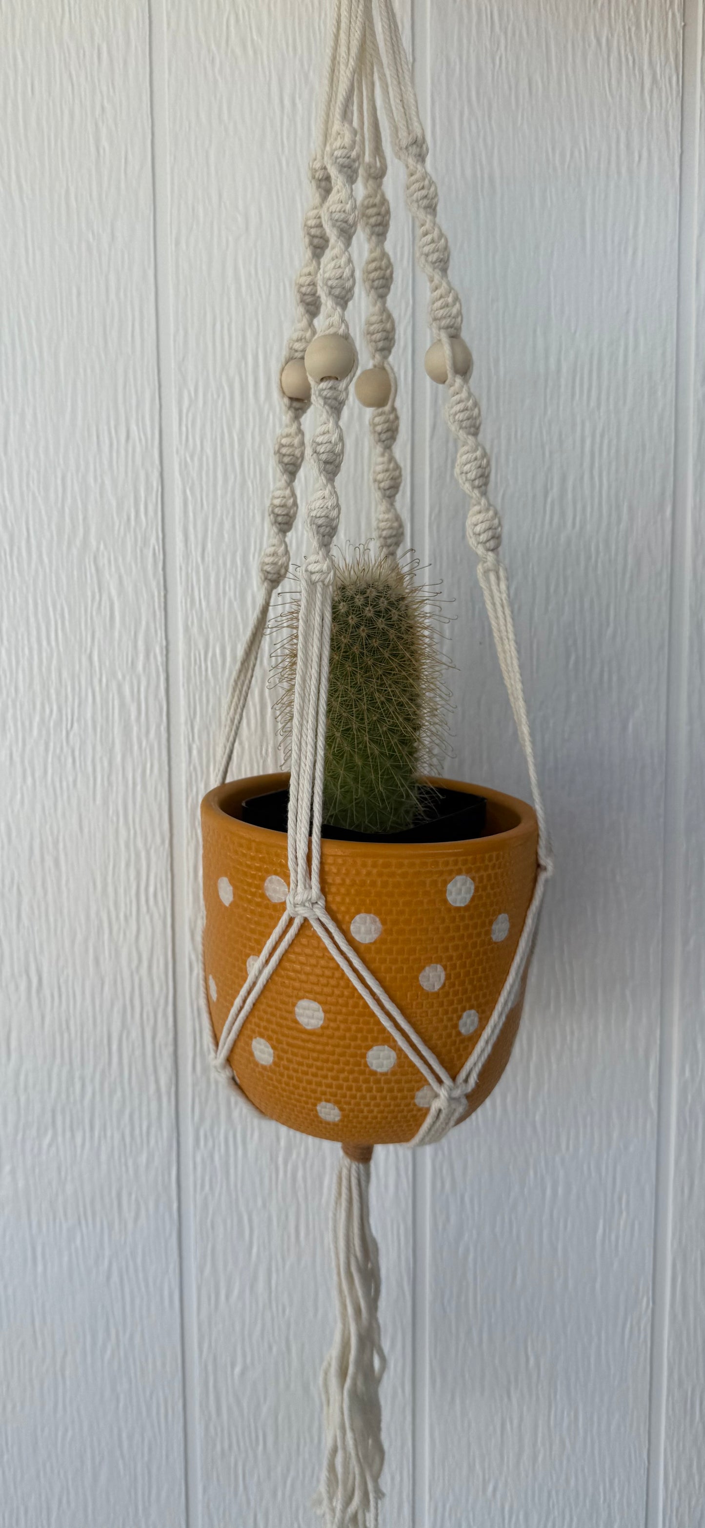 Macrame Plant Hanger