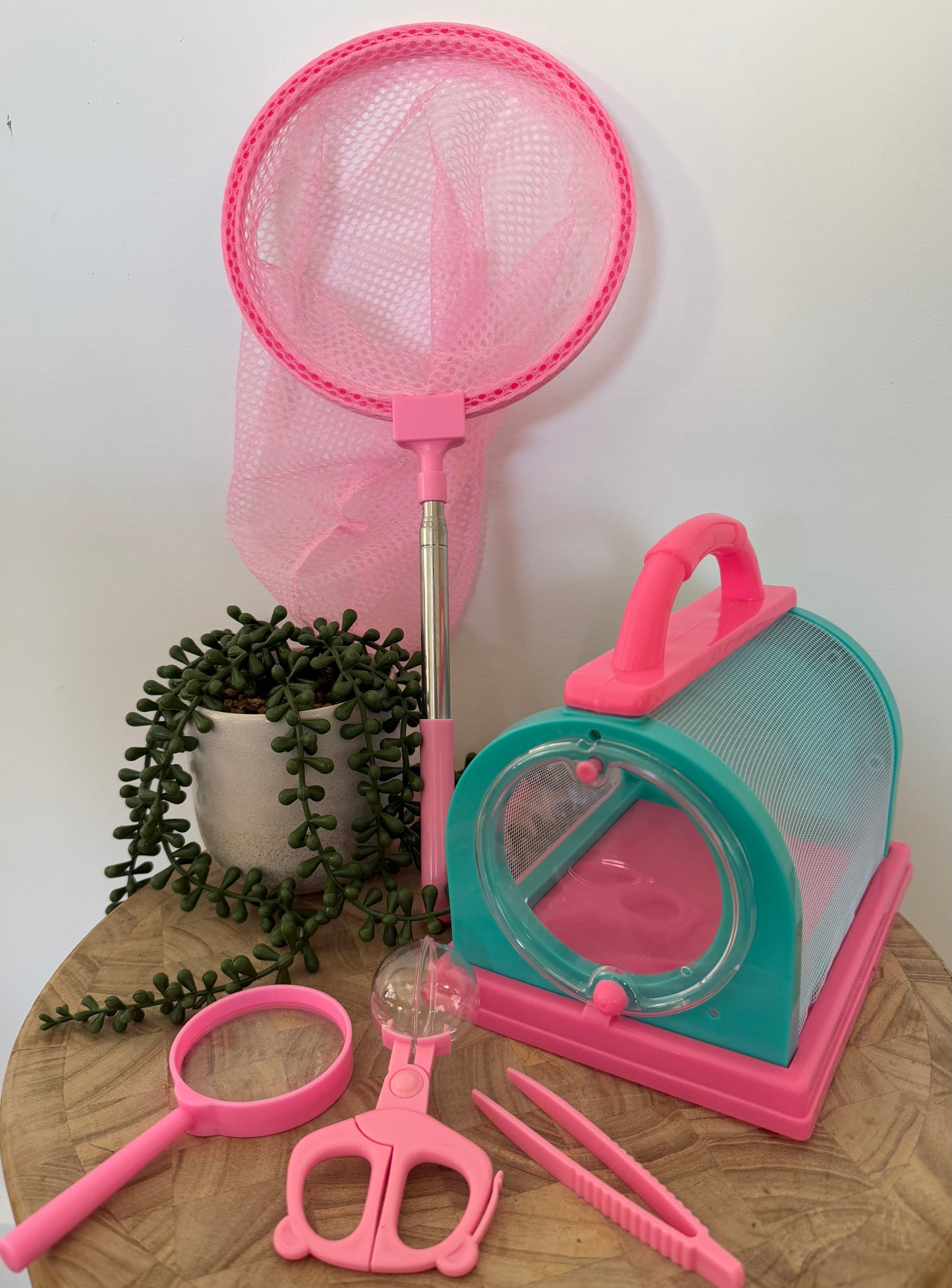 Ultimate Bug Catching Kit
