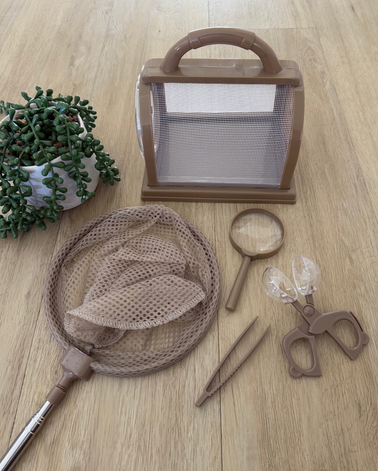 Ultimate Bug Catching Kit