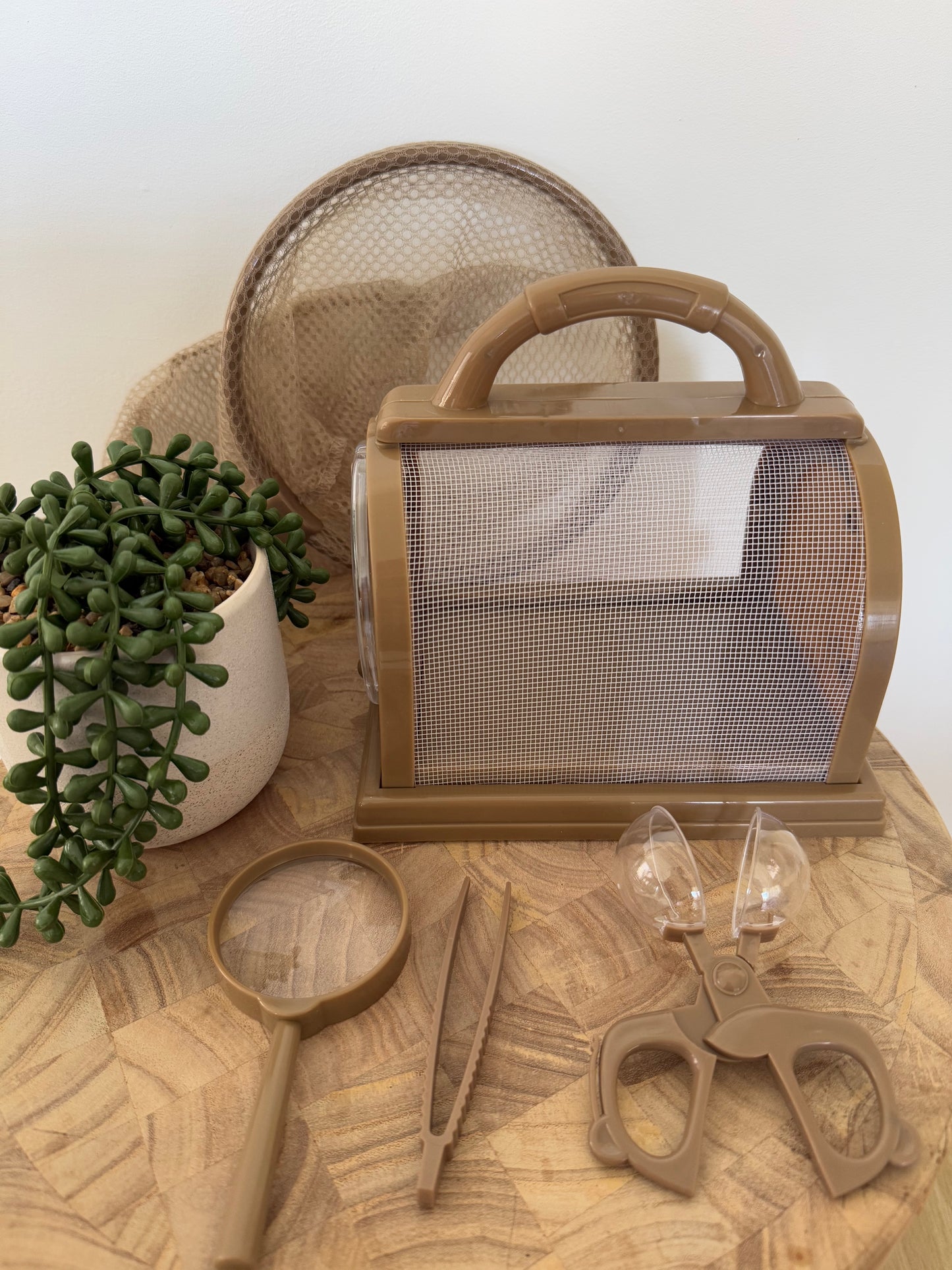 Ultimate Bug Catching Kit