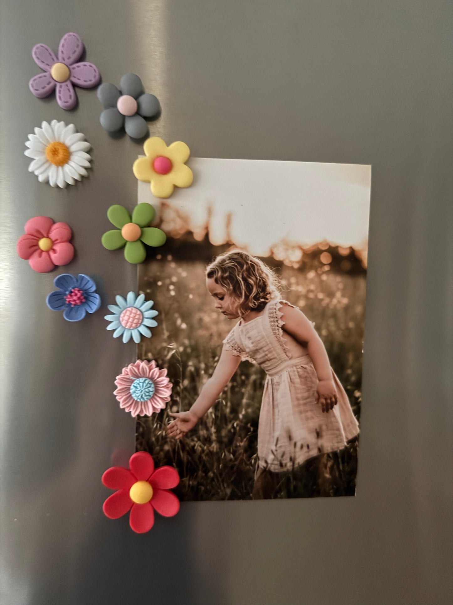Colourful Flower Fridge Magnets -10pack