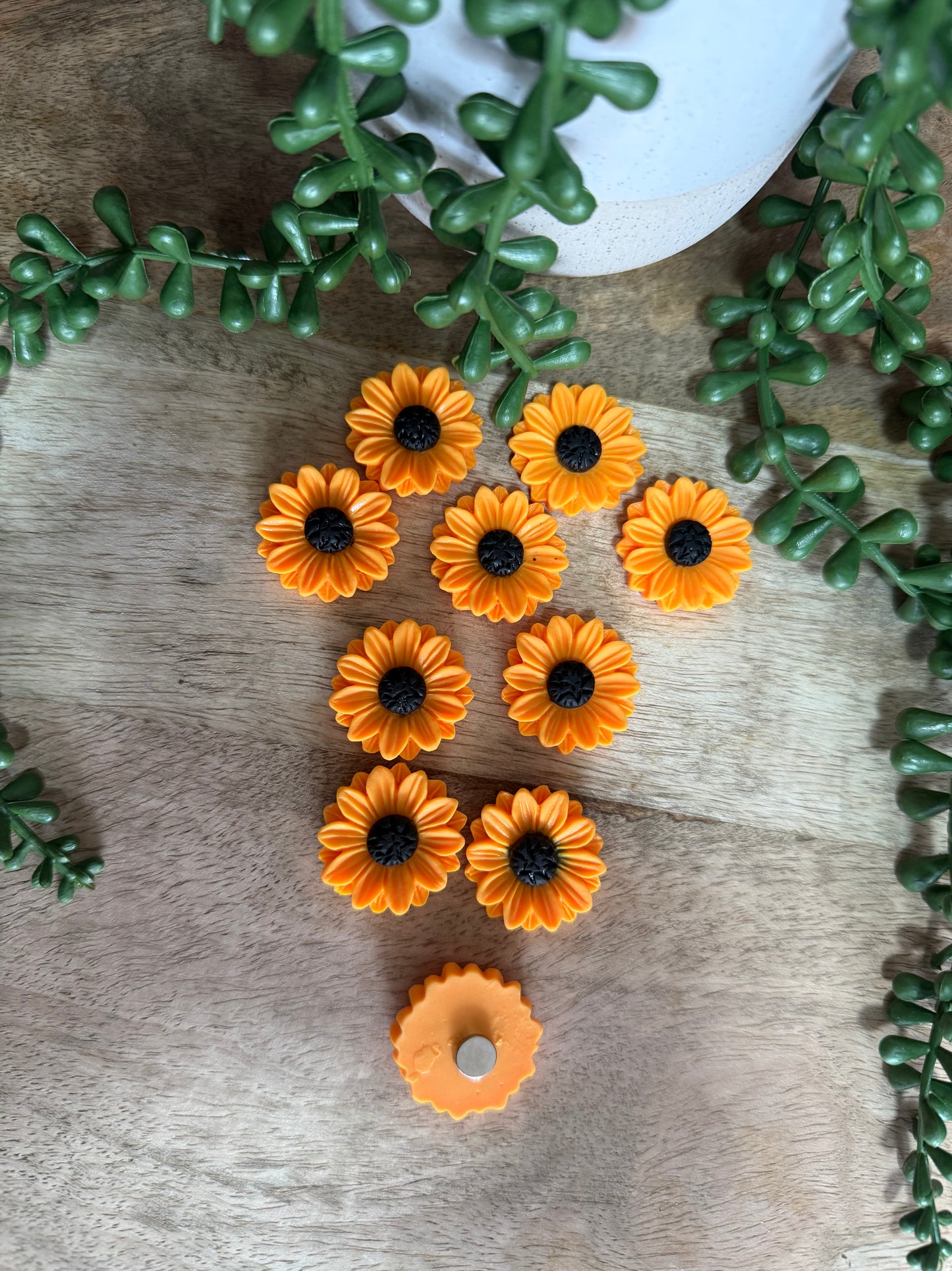Sunflower Fridge Magnets -10pack