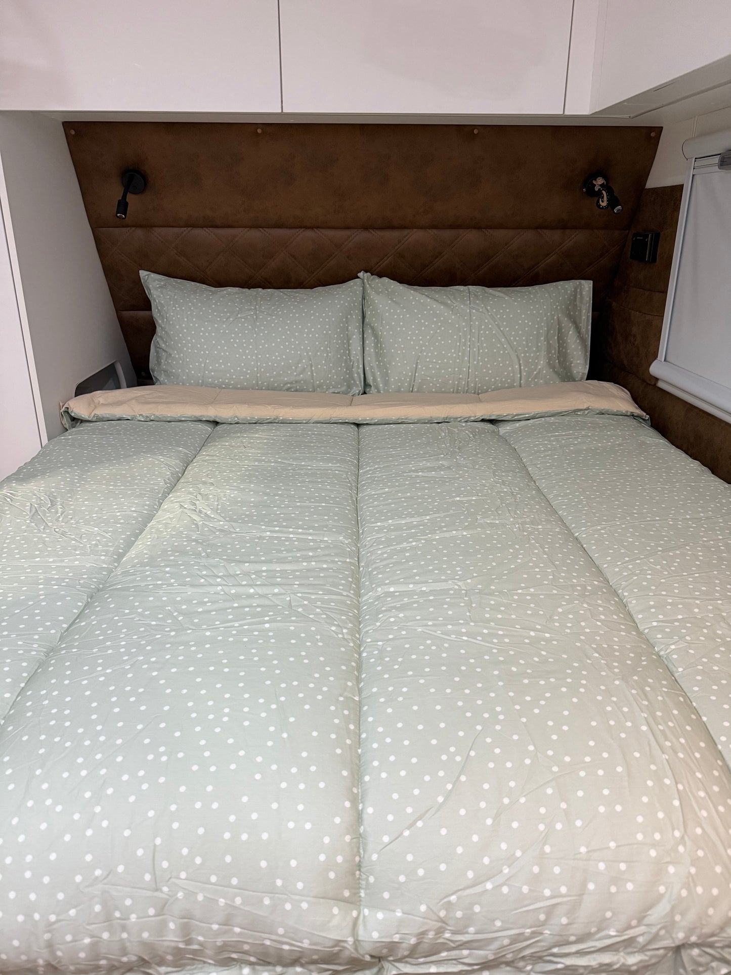 Darcy - Main *Coming soon*