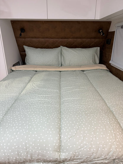 Darcy - Main *Coming soon*