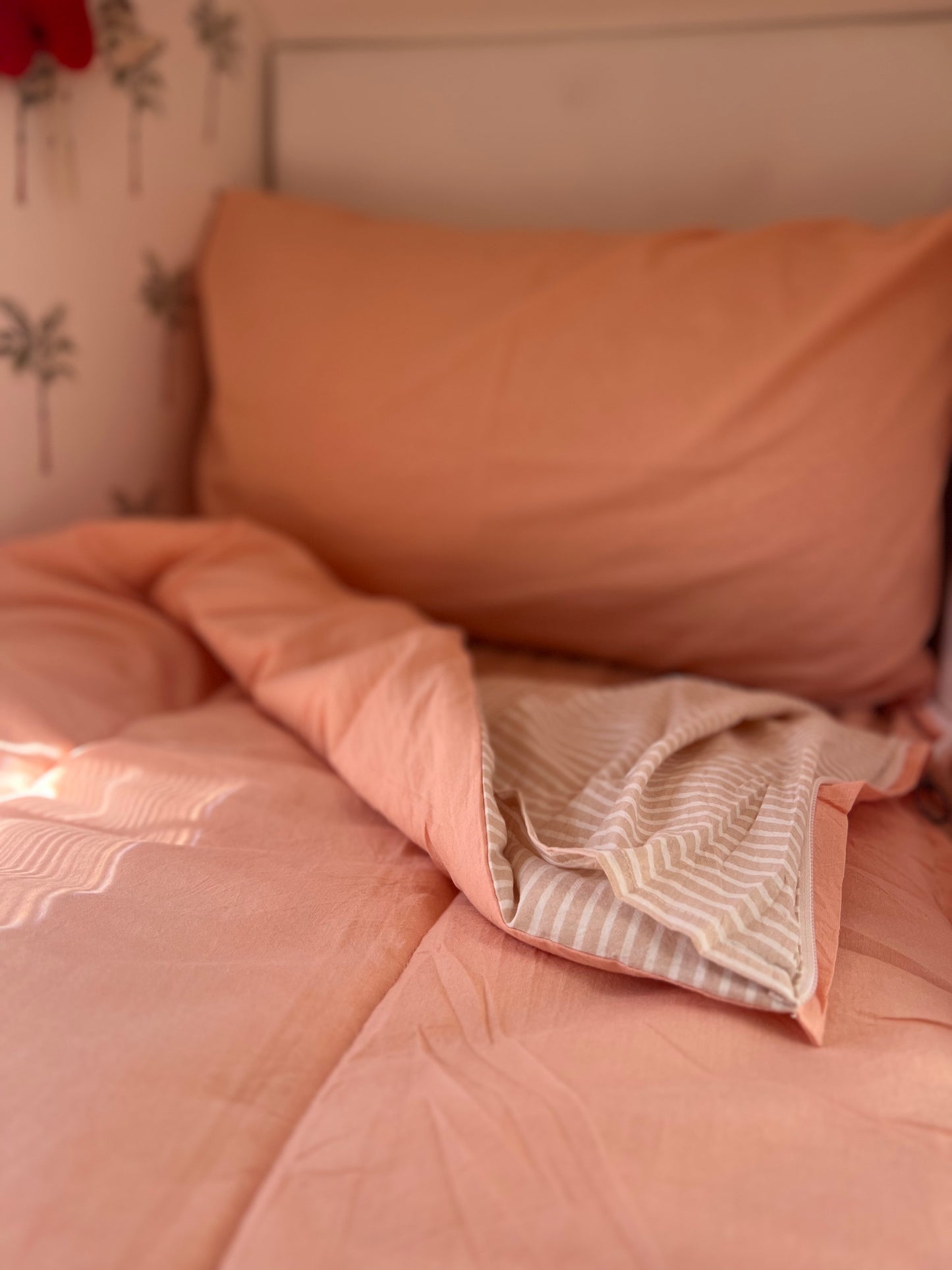 Coral - Bunk