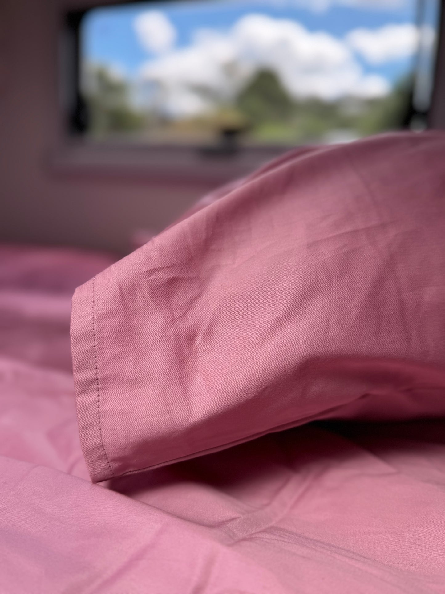 Rose - Bunk