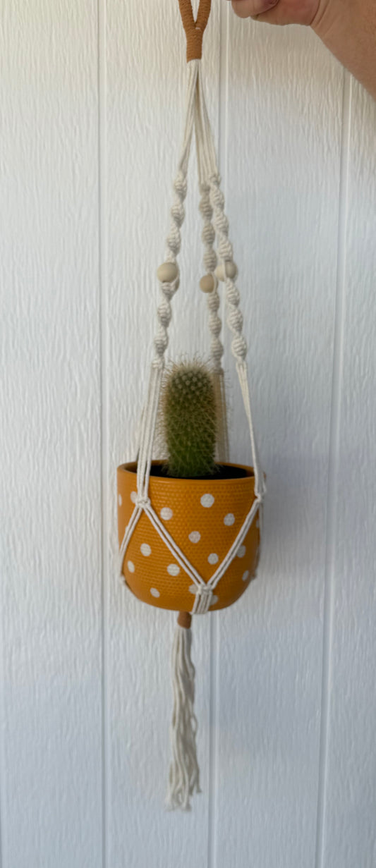 Macrame Plant Hanger
