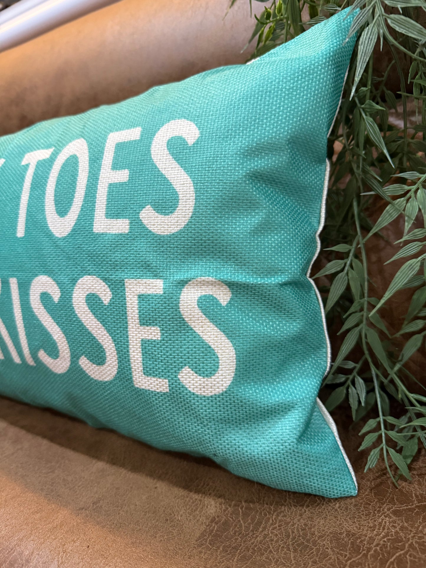 Sandy Cushion
