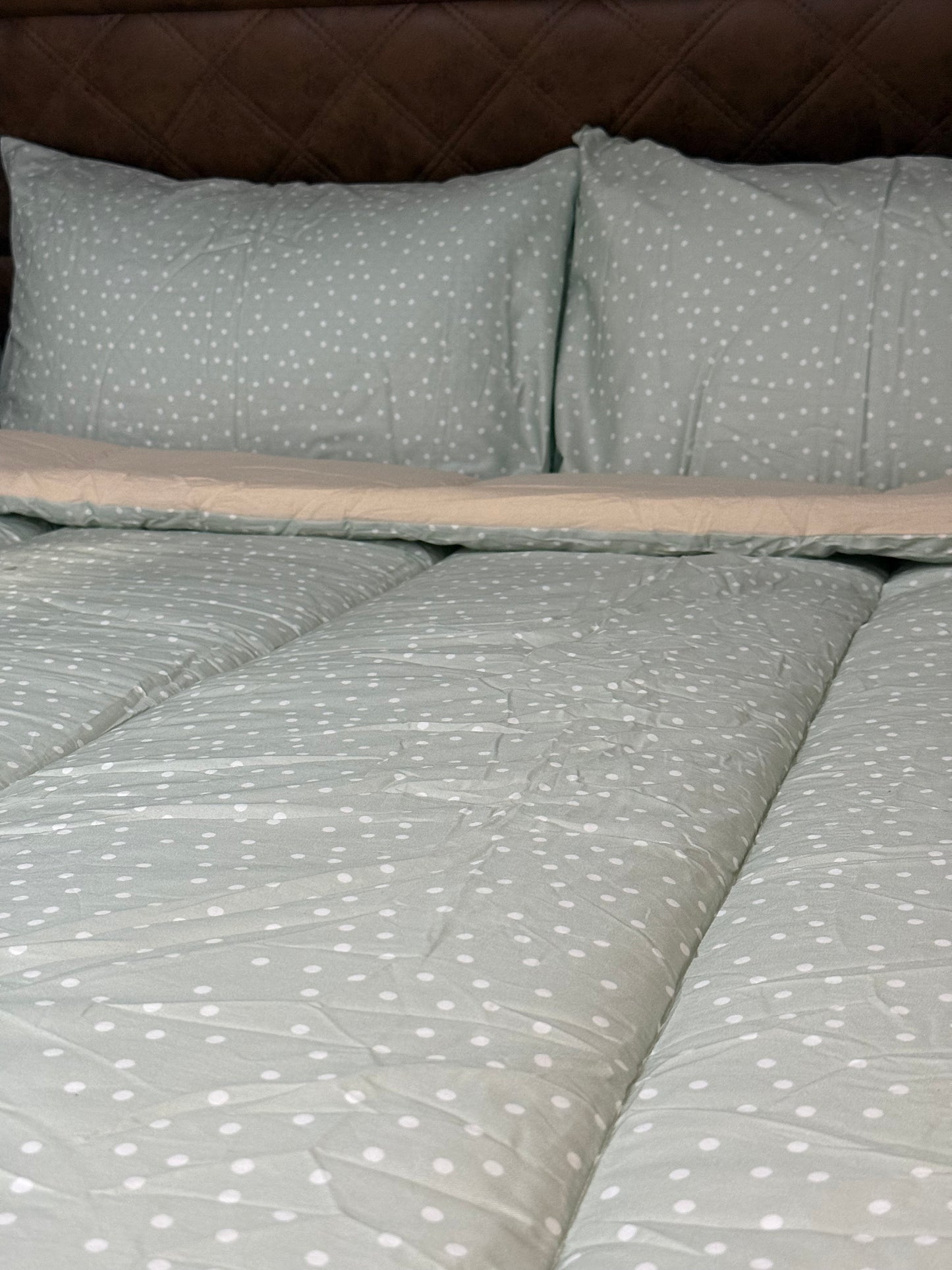 Darcy - Main *Coming soon*