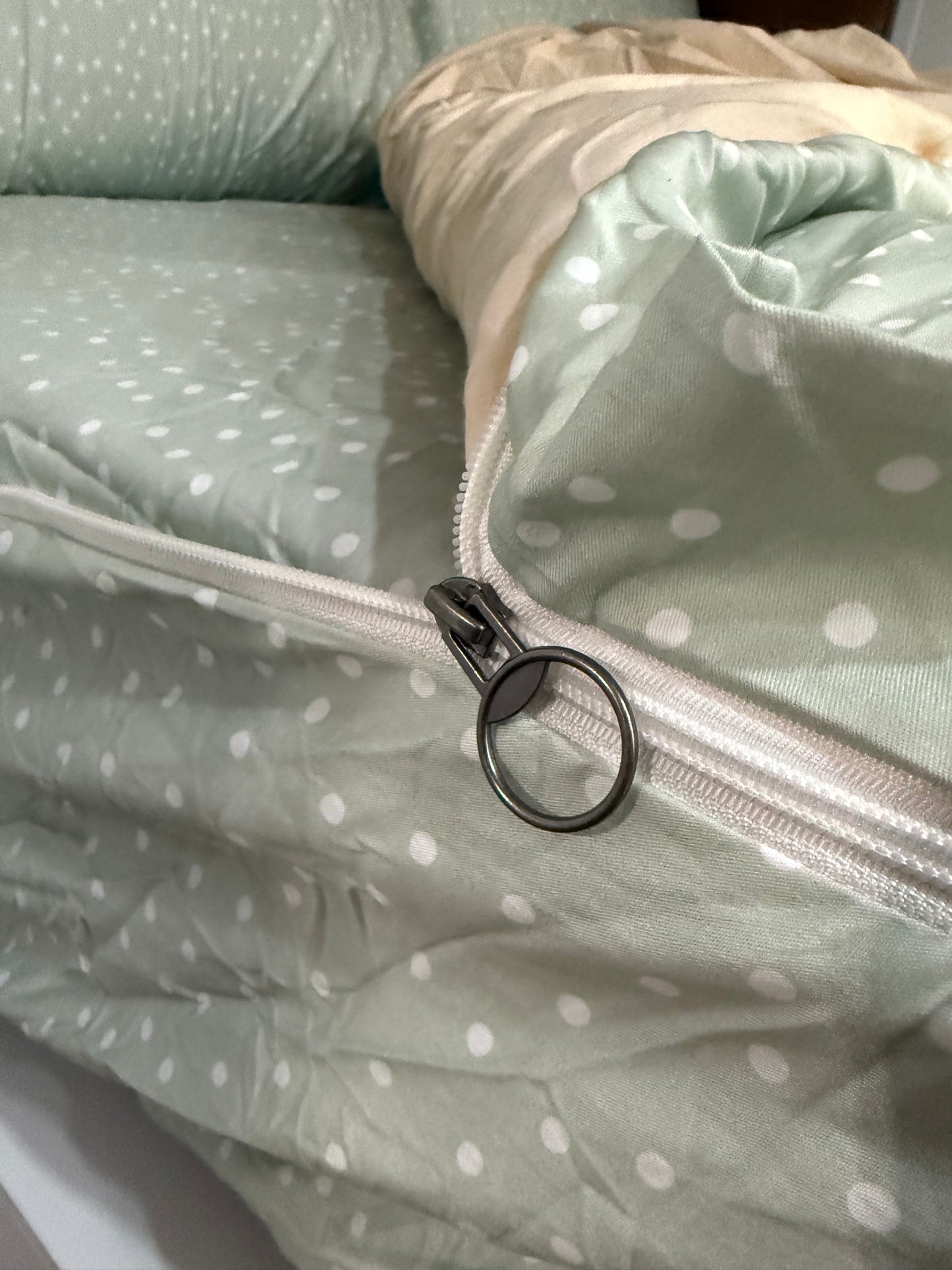 Darcy - Main *Coming soon*