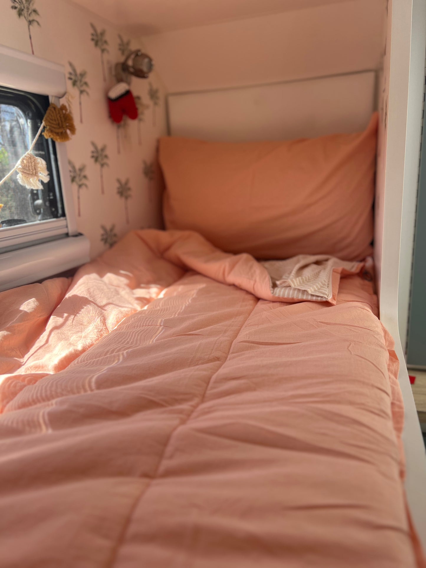 Coral - Bunk