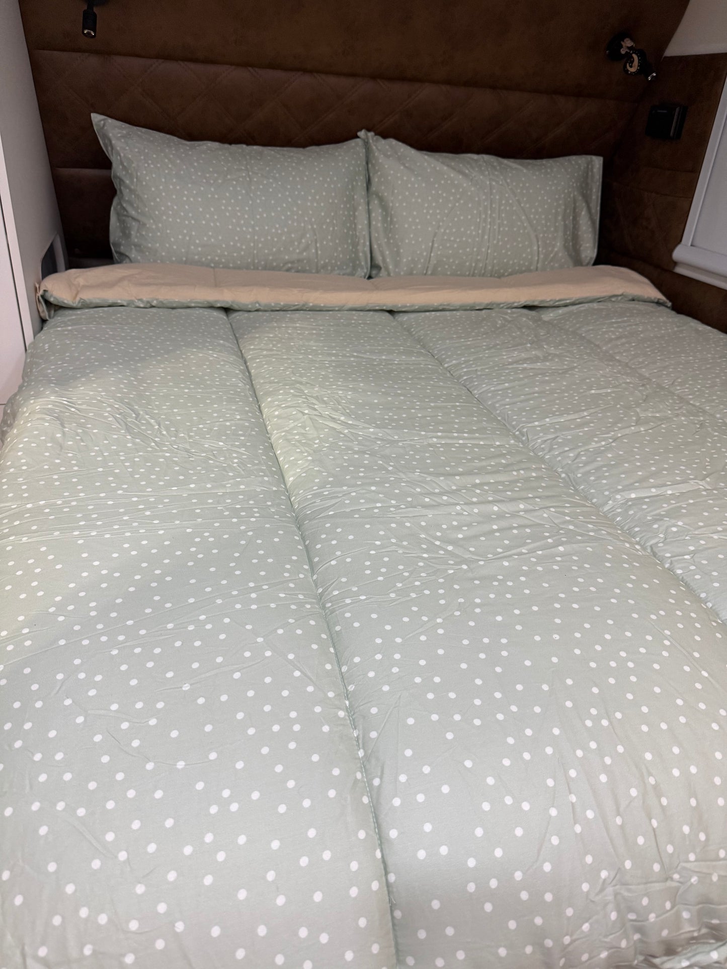 Darcy - Main *Coming soon*