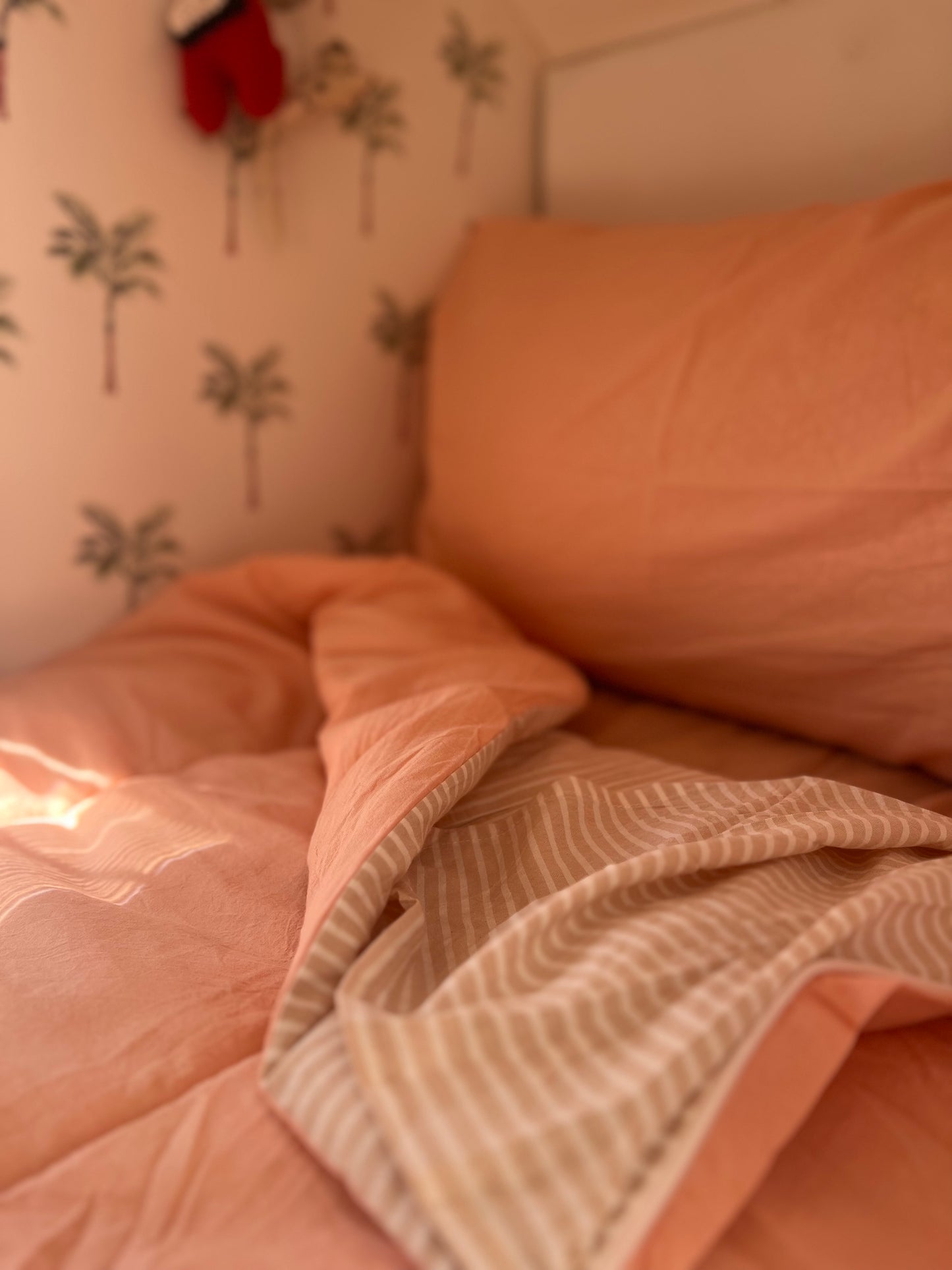 Coral - Bunk