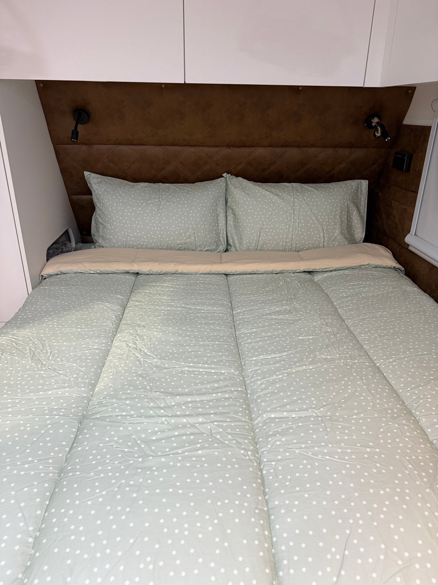 Darcy - Main *Coming soon*