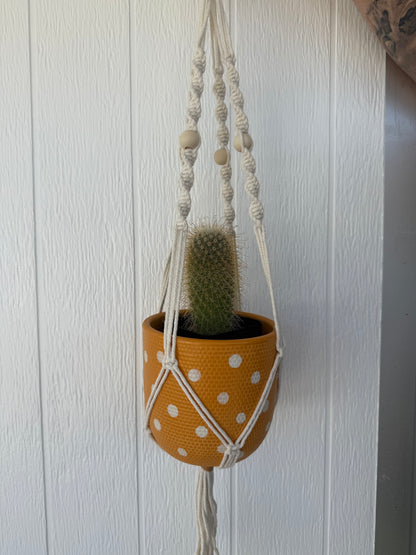 Macrame Plant Hanger