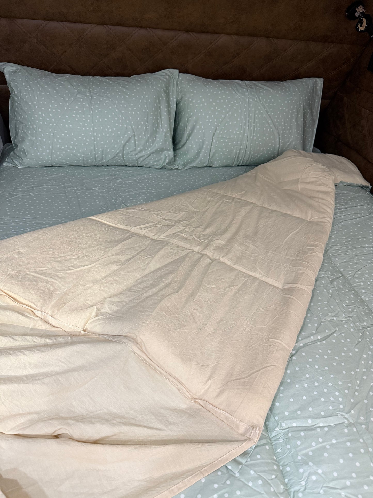 Darcy - Main *Coming soon*