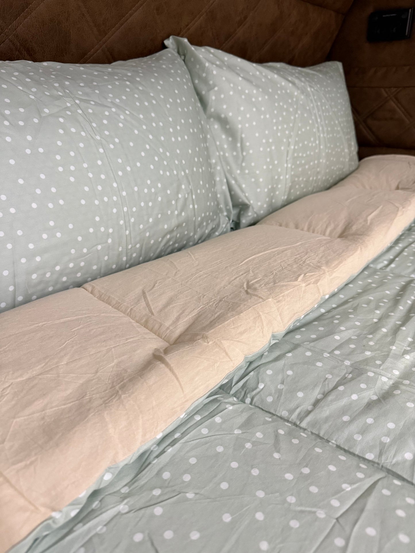 Darcy - Main *Coming soon*