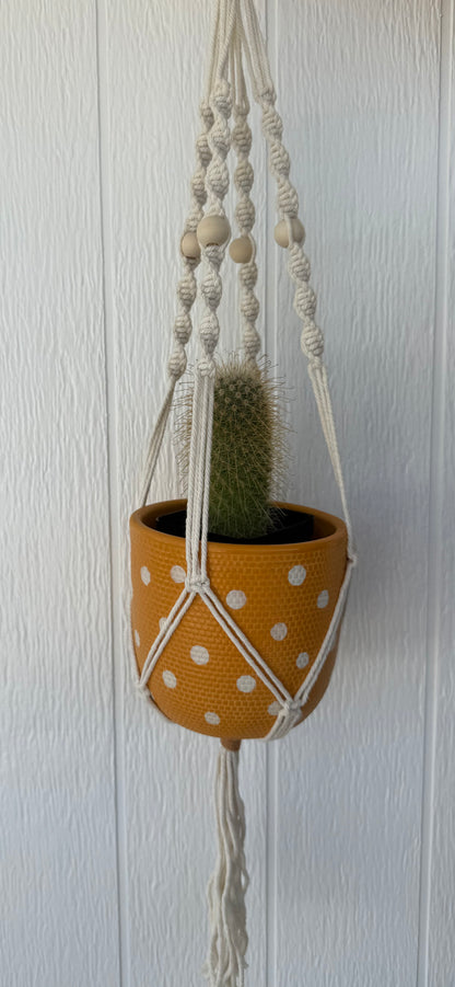 Macrame Plant Hanger