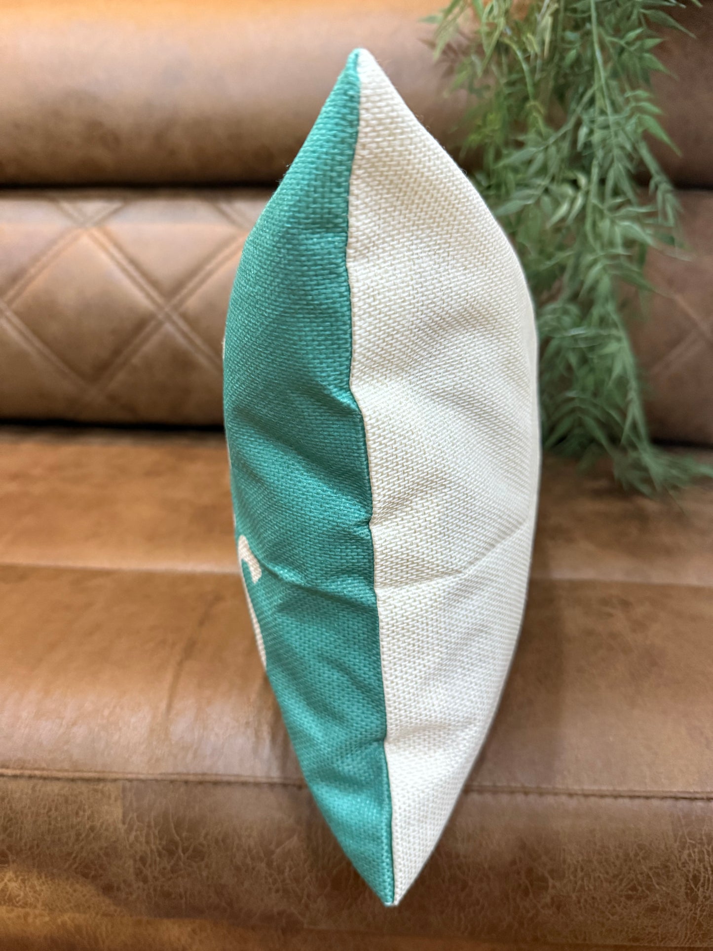 Sandy Cushion