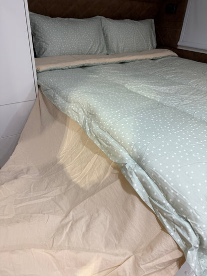 Darcy - Main *Coming soon*