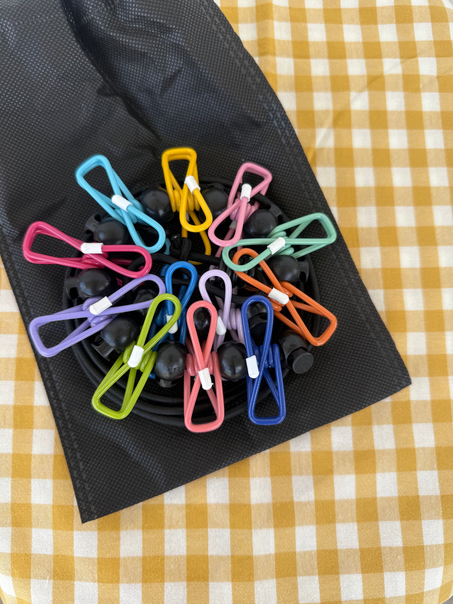 Elastic Clothesline with pegs