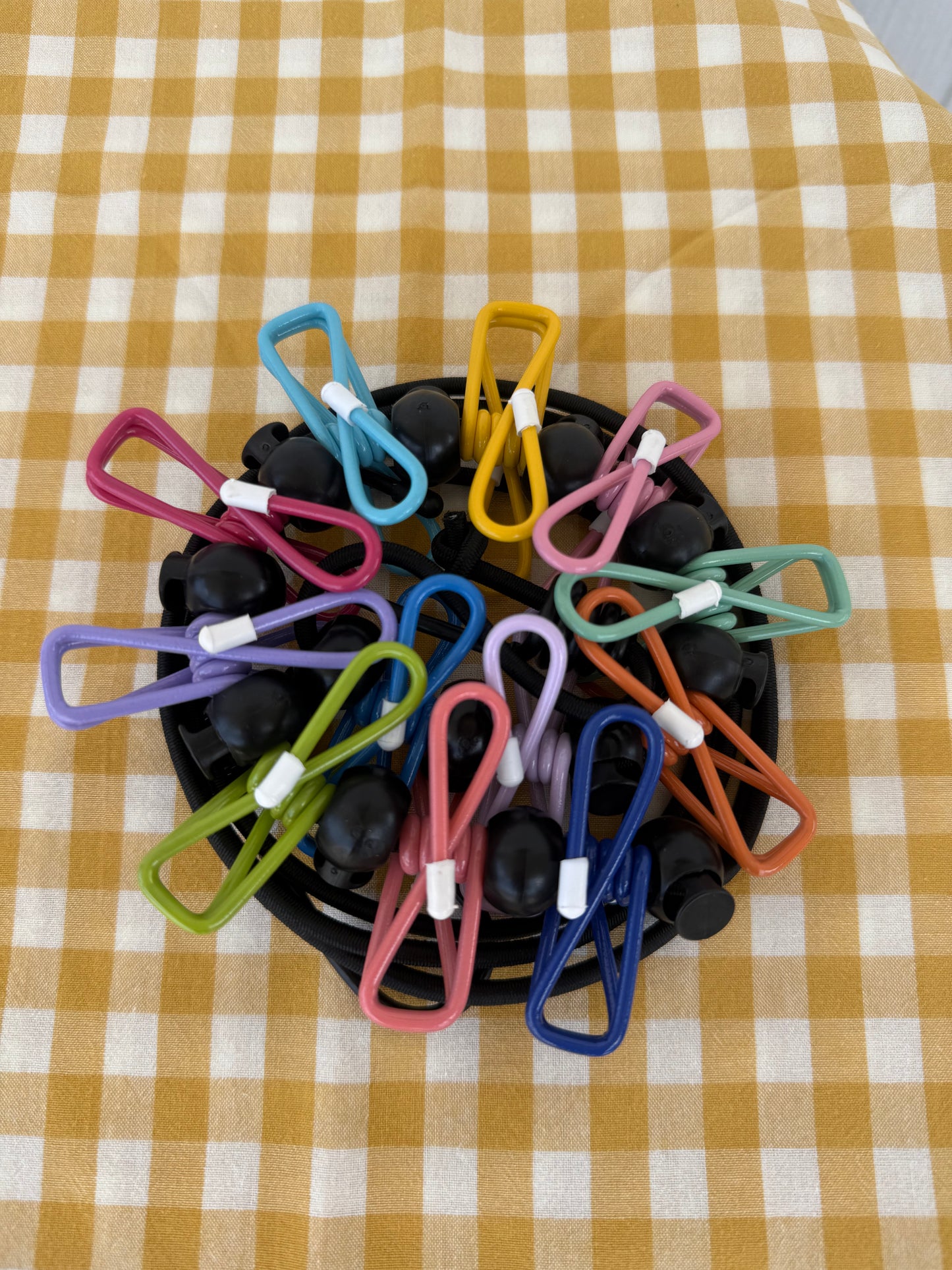 Elastic Clothesline with pegs