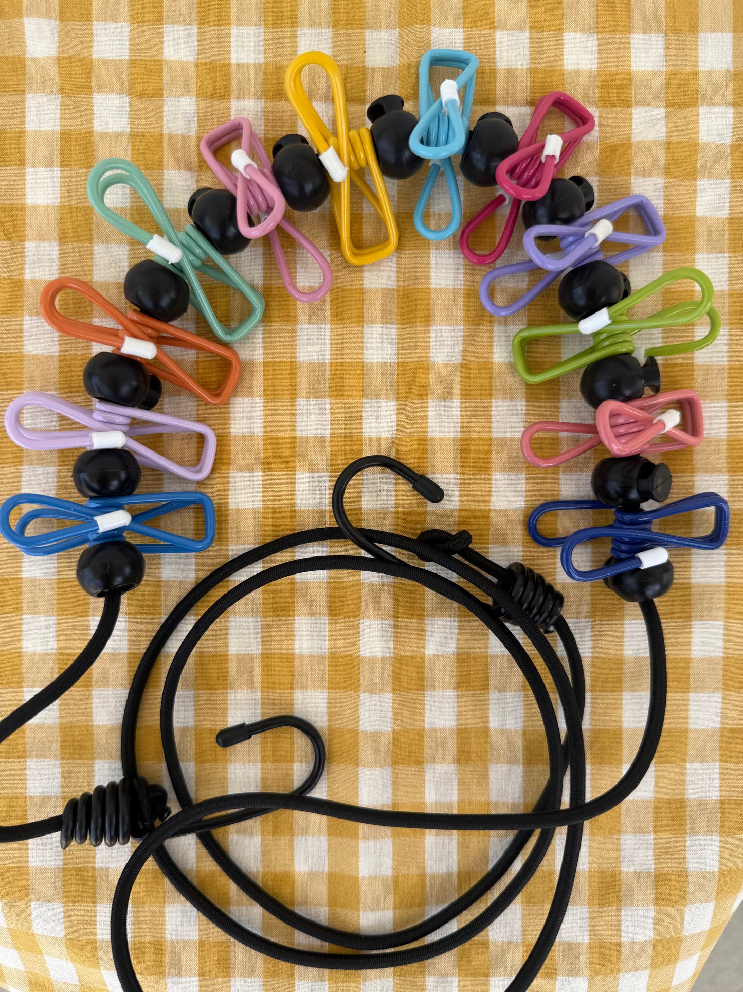 Elastic Clothesline with pegs