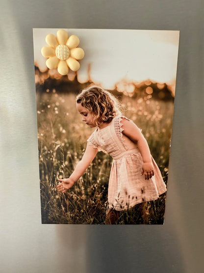 Flower Fridge Magnets -10pack