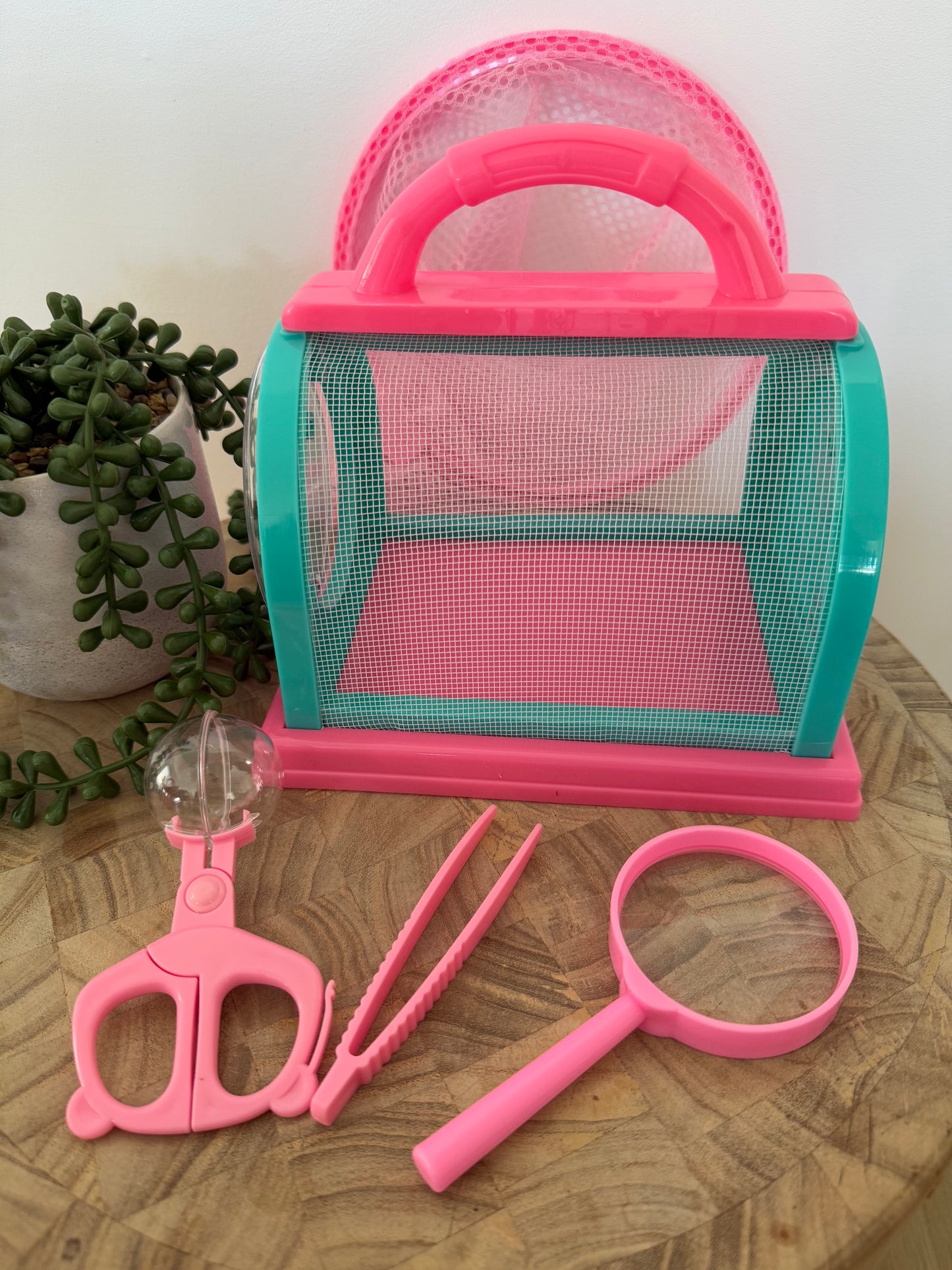 Ultimate Bug Catching Kit