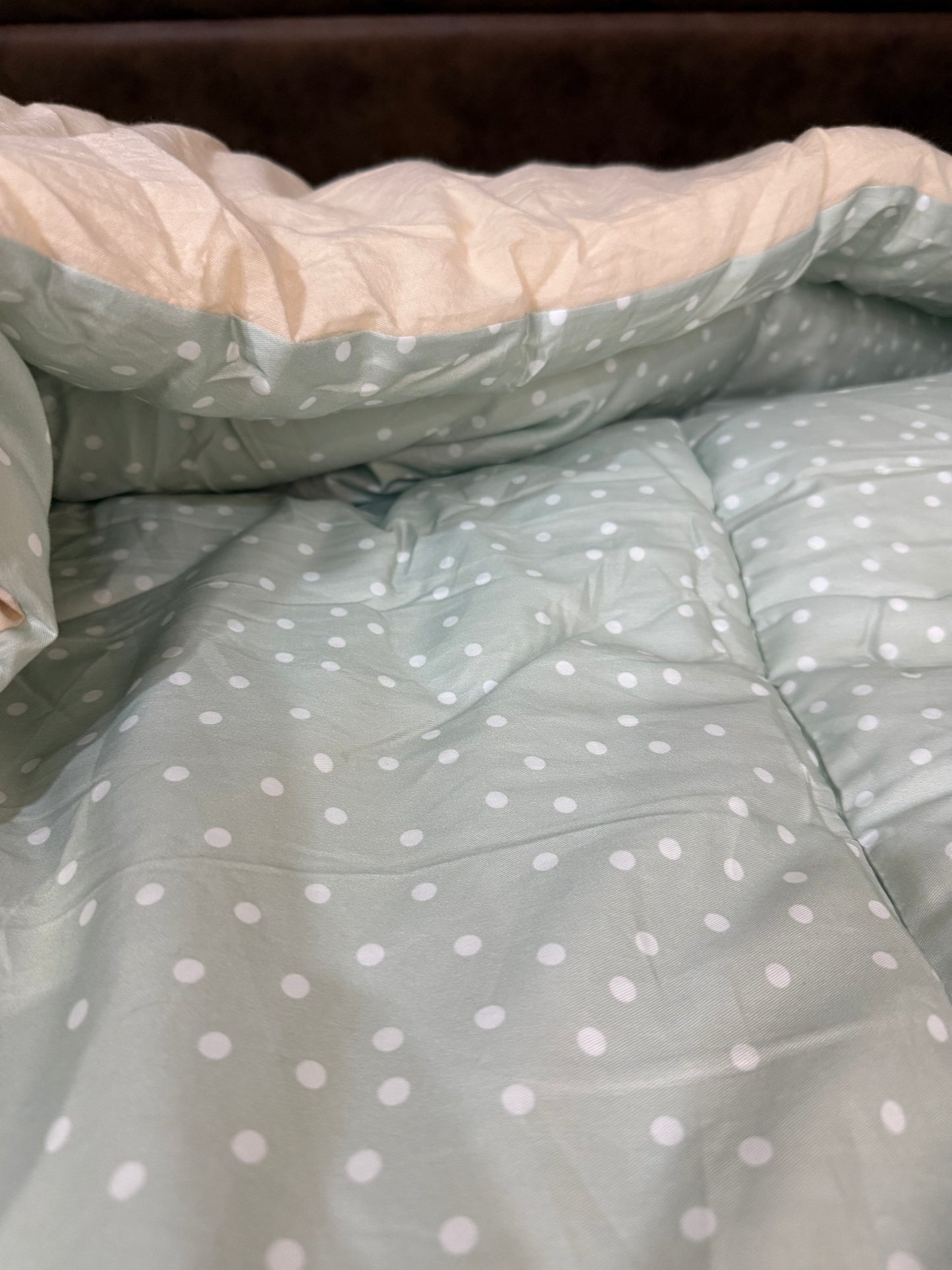 Darcy - Main *Coming soon*