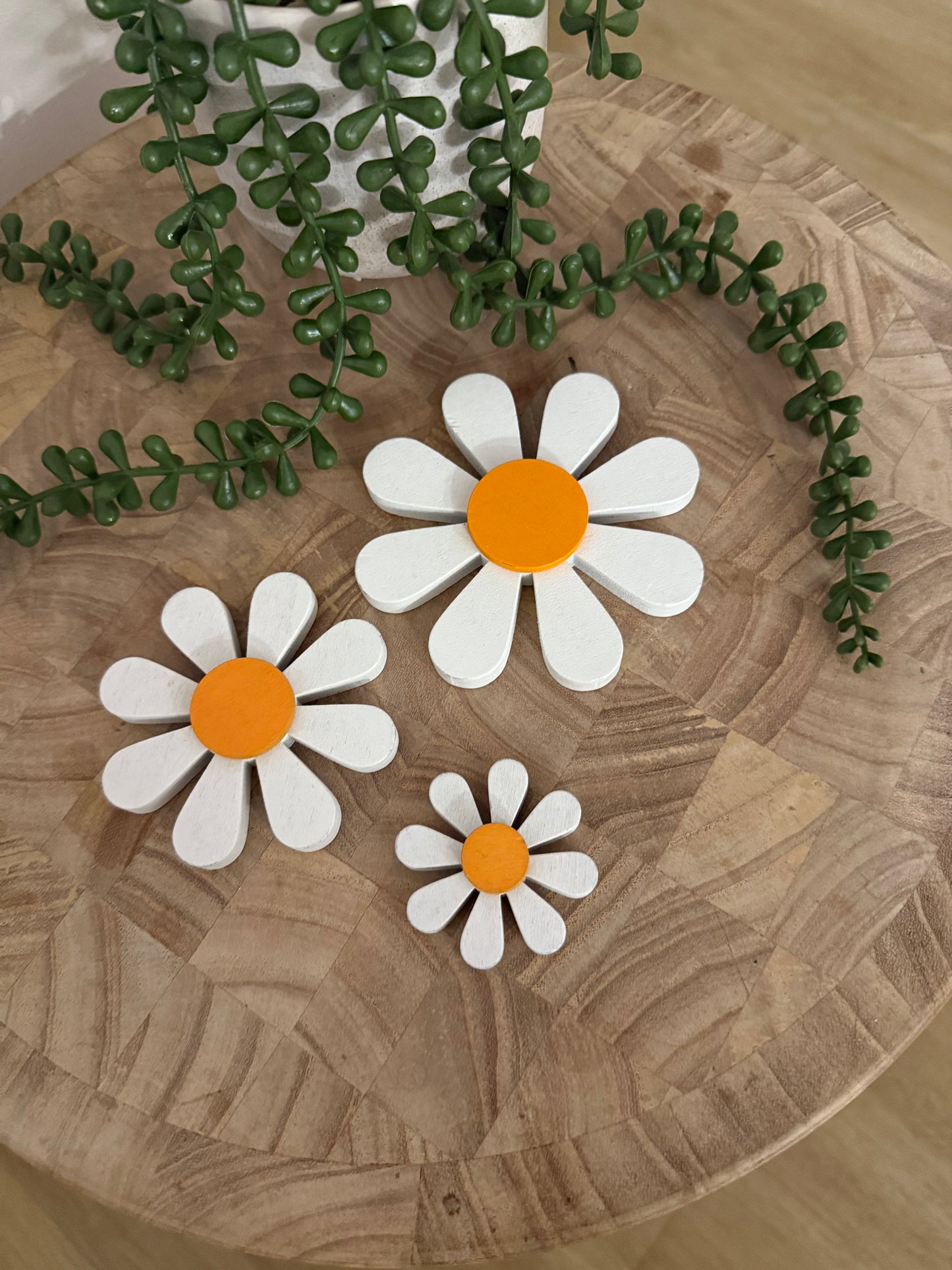 Wooden Daisy Set